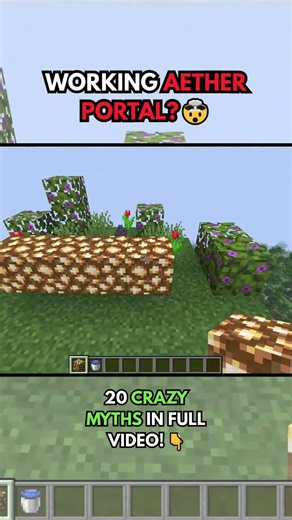 Testing 20 Minecraft Myths! (Aether Portal? 🌌😱)
