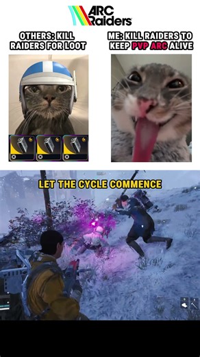 Reasons to kill other Raiders