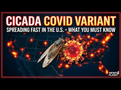 Cicada COVID Variant Spreading Fast in the U.S. – What You Must Know