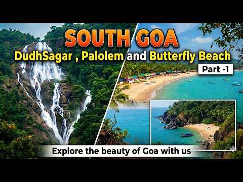 Ultimate South Goa Vlog: Dudhsagar Falls, Palolem & Butterfly Beach