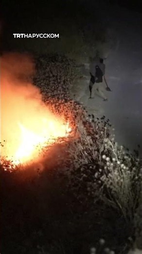 Поселенцы атаковали палестинцев
