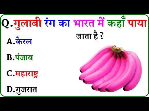GK Question || GK In Hindi || GK Question and Answer || GK Quiz ||