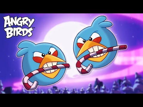 Birds vs Weather