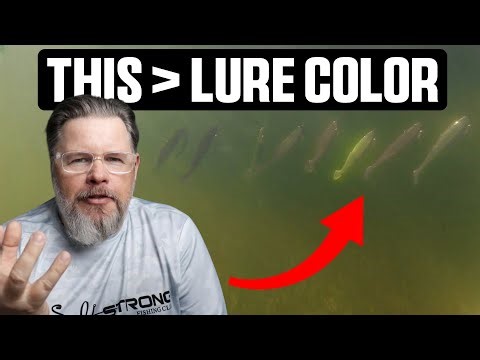 Fish Notice THIS Before They Notice Lure Color (Underwater Experiment)