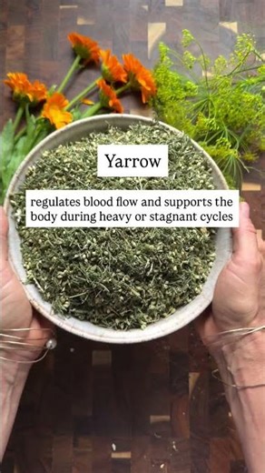 Free Women’s Health Quick Guide 💚 | Support Every Stage Naturally
