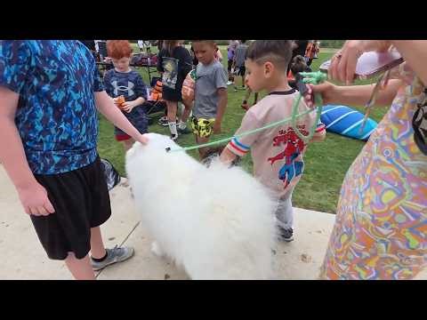 Alinity with a wholesome interaction of her dog and kids