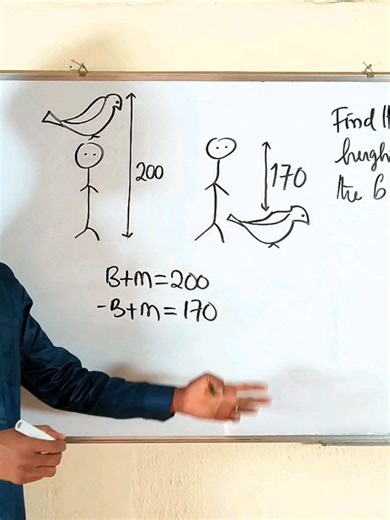 Solve the Bird and Person Height Puzzle Challenge