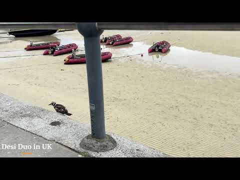 St Ives Magic Turquoise Seas & Natural Coastal Wonders