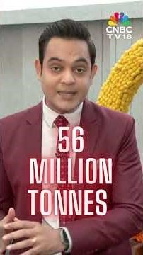 Bharat Coking Coal IPO | Shares Almost Double In Blockbuster Market Debut | N18S