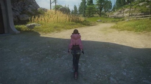 the new game