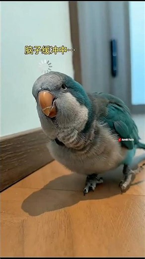 World’s Smartest Parrot 🦜🤯