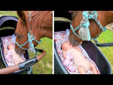 #76 Die besten Videos aller Zeiten || The Best Videos of All Time