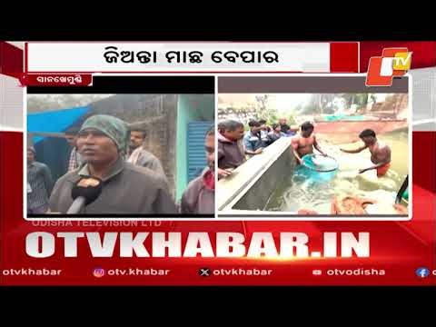 YouTube-Inspired Live Fish Farming by Two Brothers Draws Crowd in Ganjam