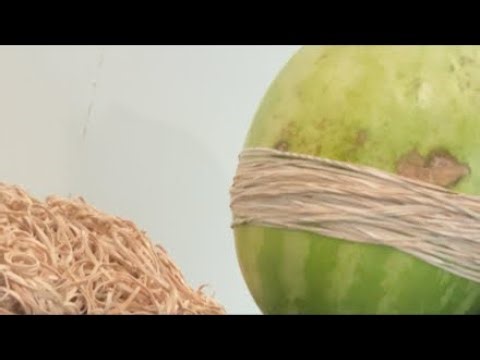 EXTREME WATERMELON EXPLOSION!!!!!