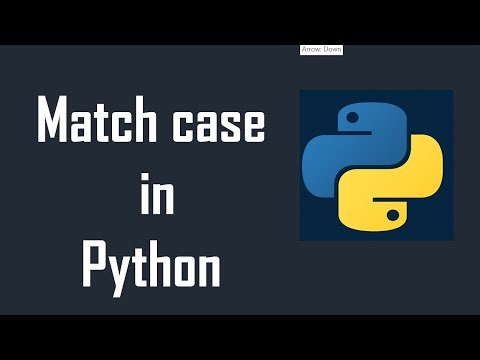 10. Match case in Python