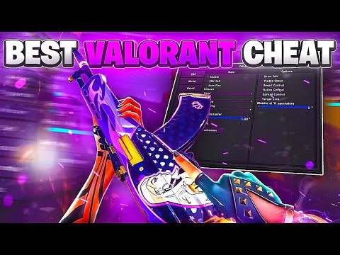 Testing The Top 5 BEST Valorant Cheats in 2026... Here's What Happened! (CRAZY RESULTS)