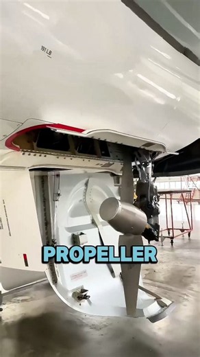 🚨 Shocking Discovery! You Won't Believe There Are Rats Inside Airplanes ✈️🐀