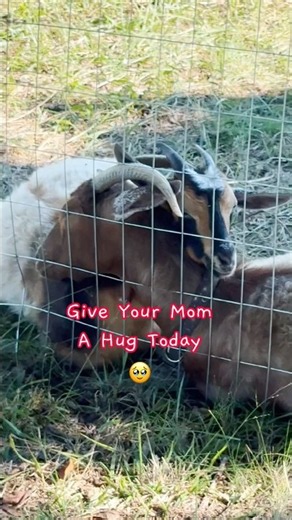 Still A Mama’s Girl...😭❤️