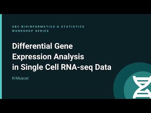 Single-Cell RNA-seq Differential Expression Analysis | Muscat Workshop