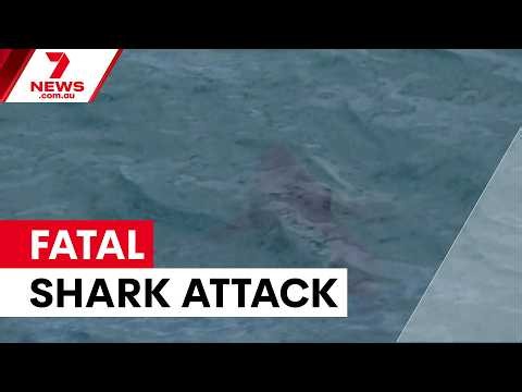 Swimmer killed in shark attack at Sorrento Beach | 7NEWS