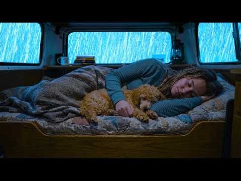 Rain Sounds for Sleeping | Natural Forest Rain Around a Warm Car | Relaxing ASMR Sounds