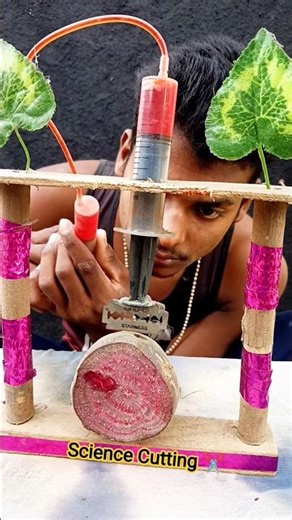 Beetroot For Cutting ✂️Razor Blade || Science Experiment || #science #experimnent #magic