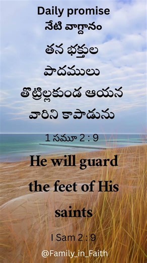Daily Promise | God’s Word for Today | Hope • Faith • Peace | 29 Apr 2026