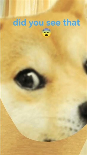 did you found it ?