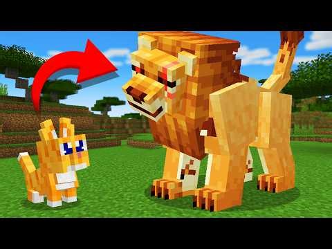 From Baby to Cat King in Minecraft