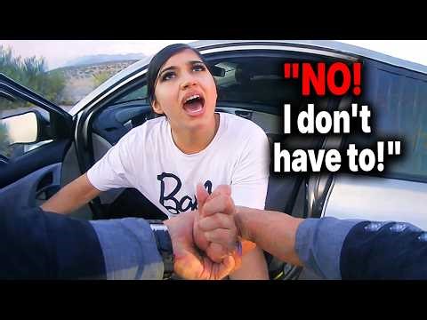 When a Routine Traffic Stop Escalates: Examining What Went Wrong