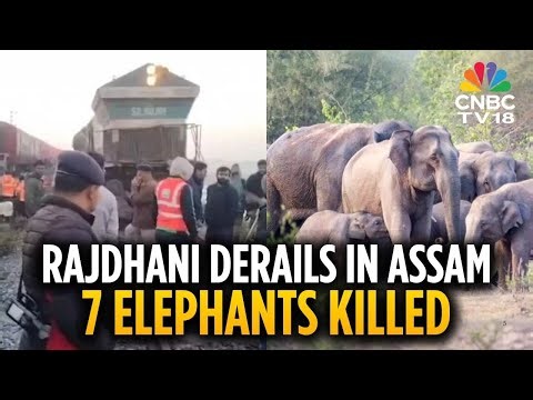 Assam Train Accident: 7 Elephants Killed, Rajdhani Express Derails In Assam’s Hojai District | N18V