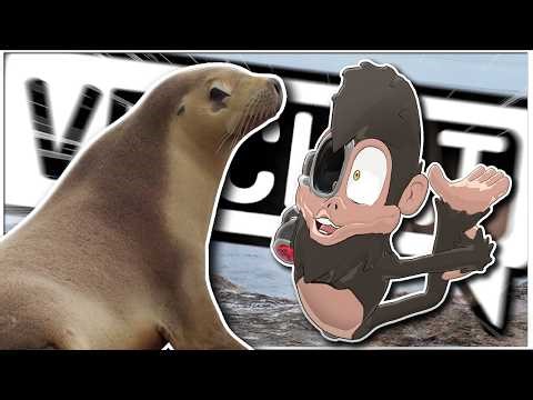 EVERBODY HIT THE SEA LION DANCE - VRChat (Funny Moments)