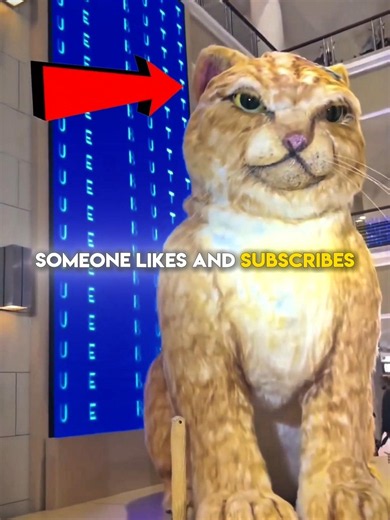 #bts 🐈