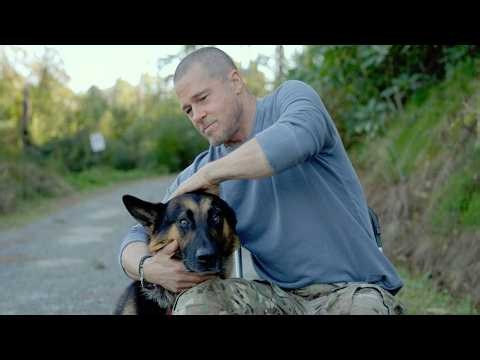 Heart of the Beast: Meet Brad Pitt's New Four-Legged Co-Star, Uber!