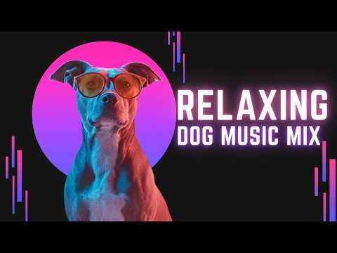 2 HOURS of Dog Music 🎅🦮 Soothing Sounds & Videos for Restful Canines