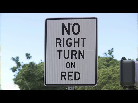 Trooper Steve on Patrol clears up right on red confusion