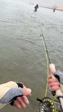 Fly Fishing in Extreme Cold Weather ❄️ | Learning in Snow & Rain🎣 #flyfishing #troutfishing #cold