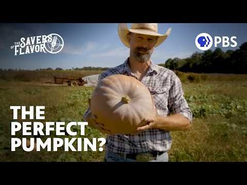 The Rare Dutch Fork Pumpkin | Full Episode | The Savers of Flavor