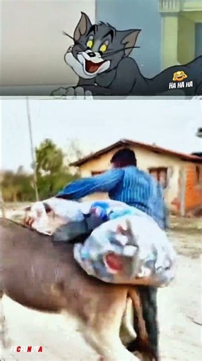Funniest Donkey Ride Fail Ever 😂 Donkey Ridding Funny video# Usa # shorts #