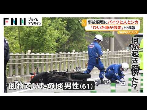 事故現場に“バイクと人と鹿” バイクの男性がシカに衝突、転倒し後続車にはねられ死亡か（2026年04月29日）