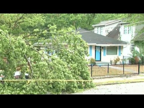 Downed tree takes out power line in Atlanta