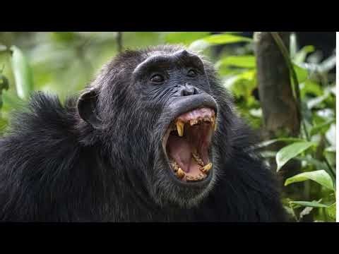 Weekly Science Digest: From Lunar Records to Biological Breakthroughs