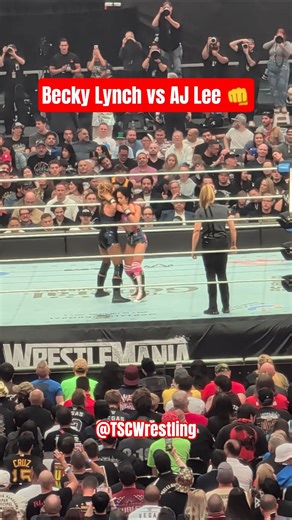 Becky Lynch vs AJ Lee Live Highlights WrestleMania 42
