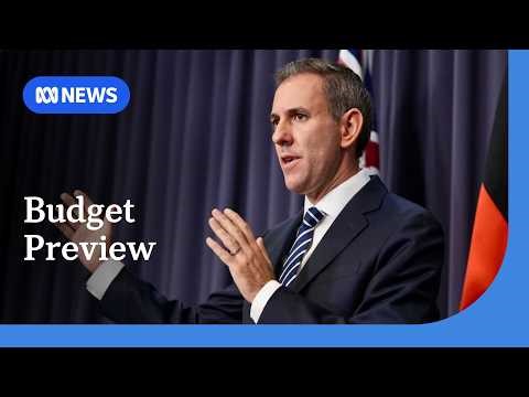 Chalmers paves the way for NDIS cuts, changes to capital gains tax discount | ABC NEWS