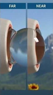 The Eye - Anatomy Explainer #eye #anatomy #explainervideo