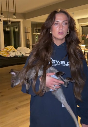 How I Lost My Wallaby in My House — Responsible Pet Owner Story