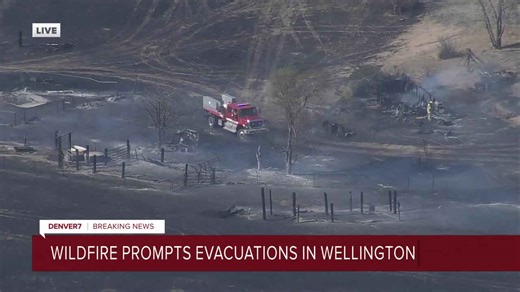 Mandatory evacuations issued east of Wellington due to wildfire burning in the area