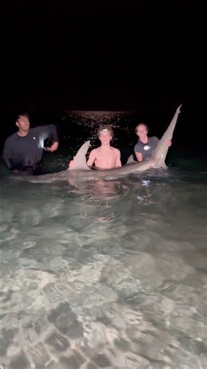 Hammerhead Shark Caught Off The BEACH Using Fishing Drone ⁉️ #lbsf #thefishermeng #landbasedshark