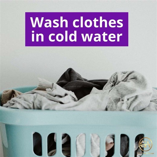 Reduce Your Carbon Footprint this Earth Day