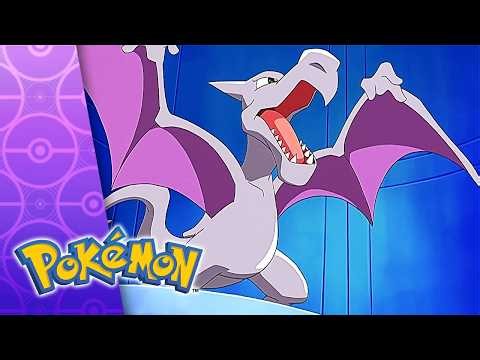 Wild In The Streets! | POKÉMON FULL EPISODE 17 | Season 10